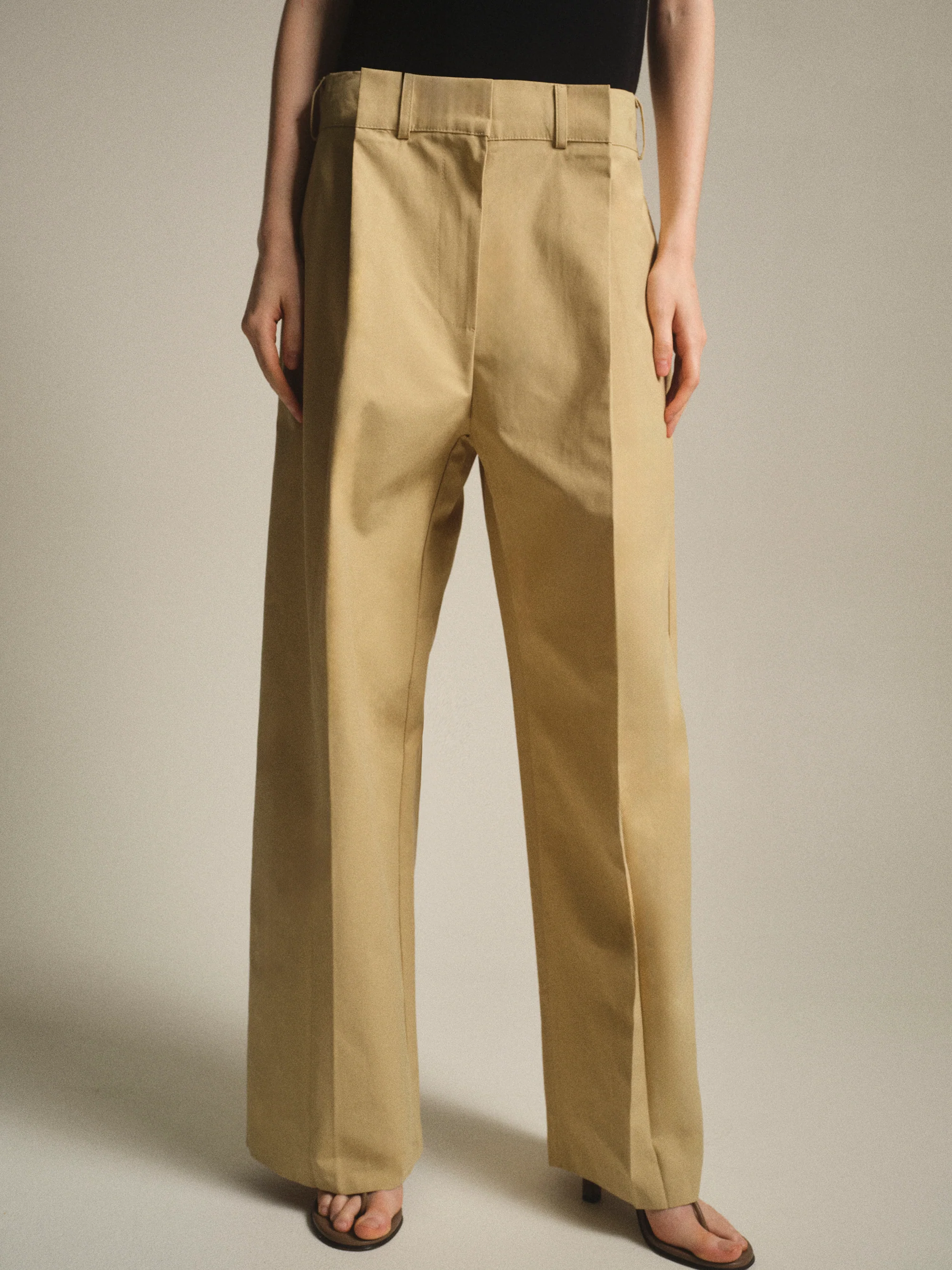 Relaxed Pleated Chinos, Beige