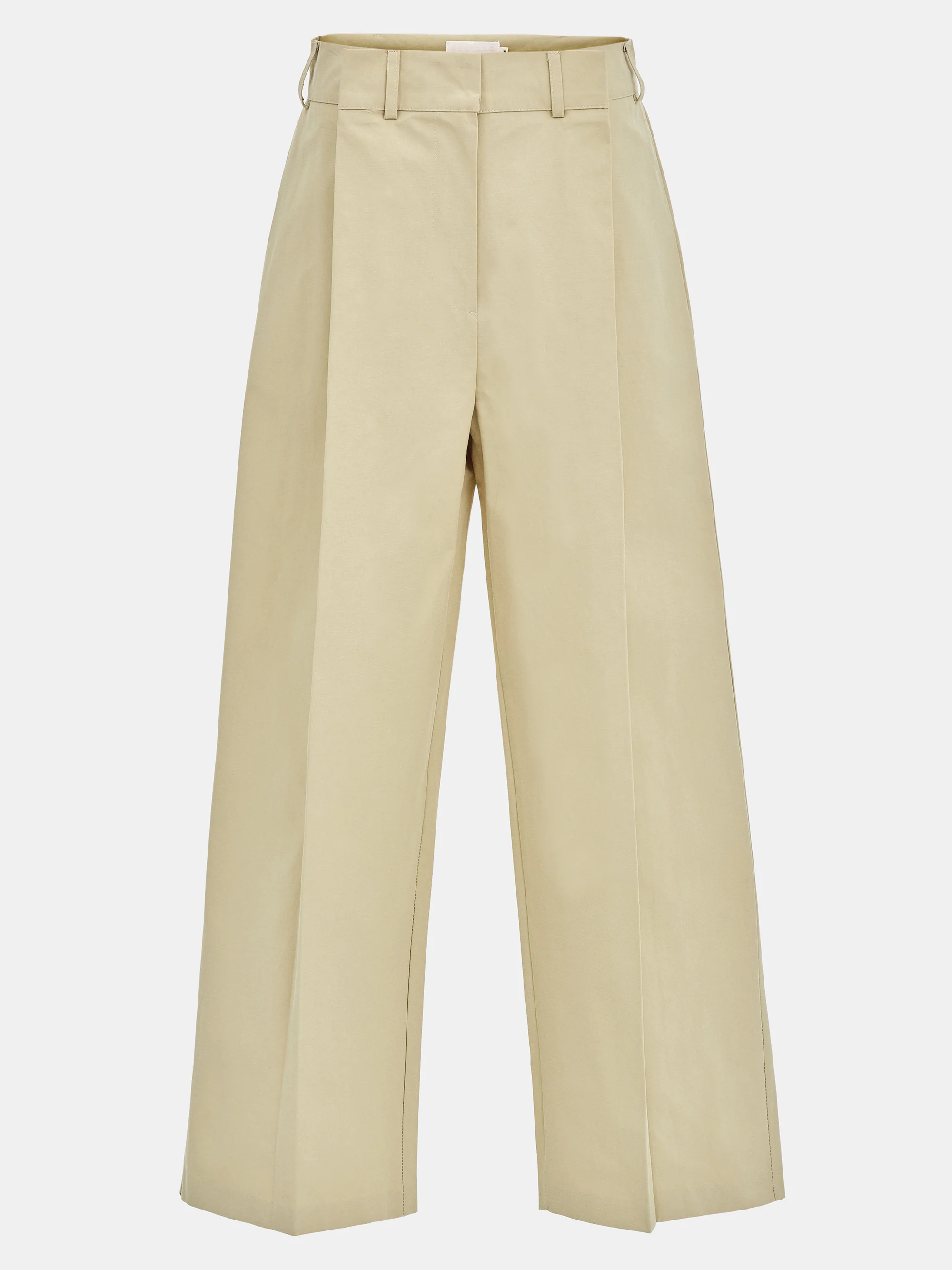 Relaxed Pleated Chinos, Beige - Image 4