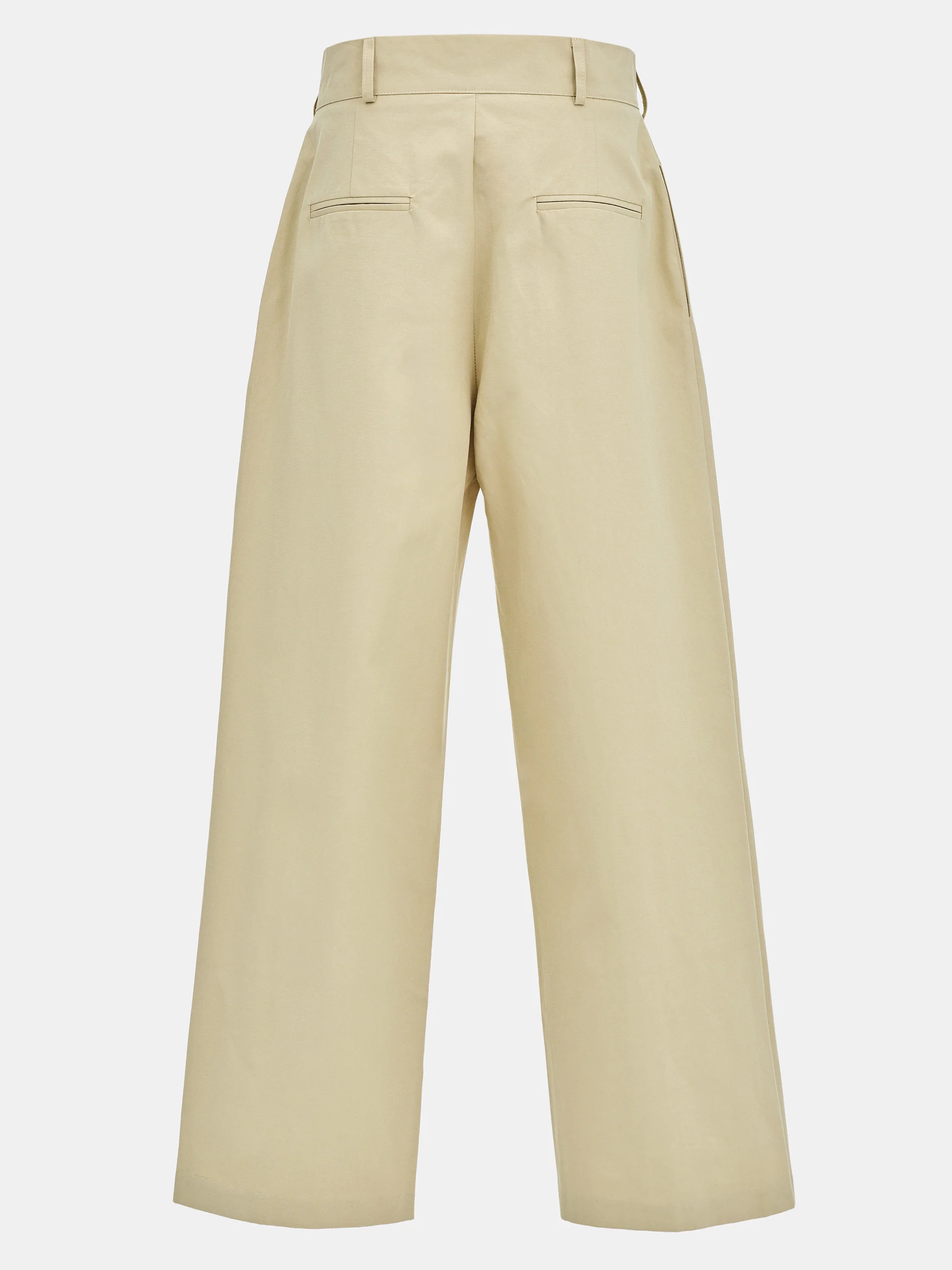 Relaxed Pleated Chinos, Beige - Image 5