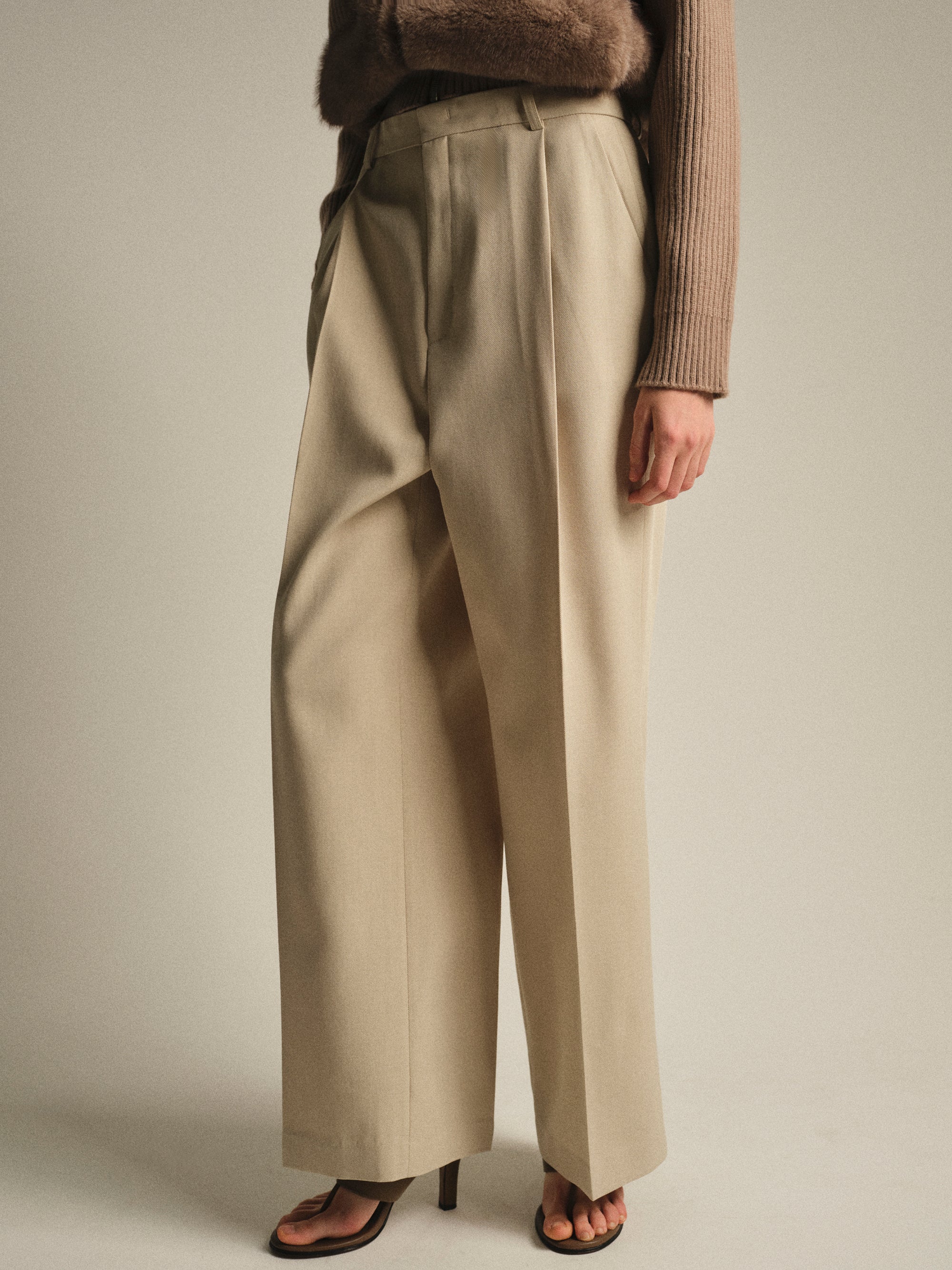 Tailored Single-Pleat Trousers, Beige - Image 3
