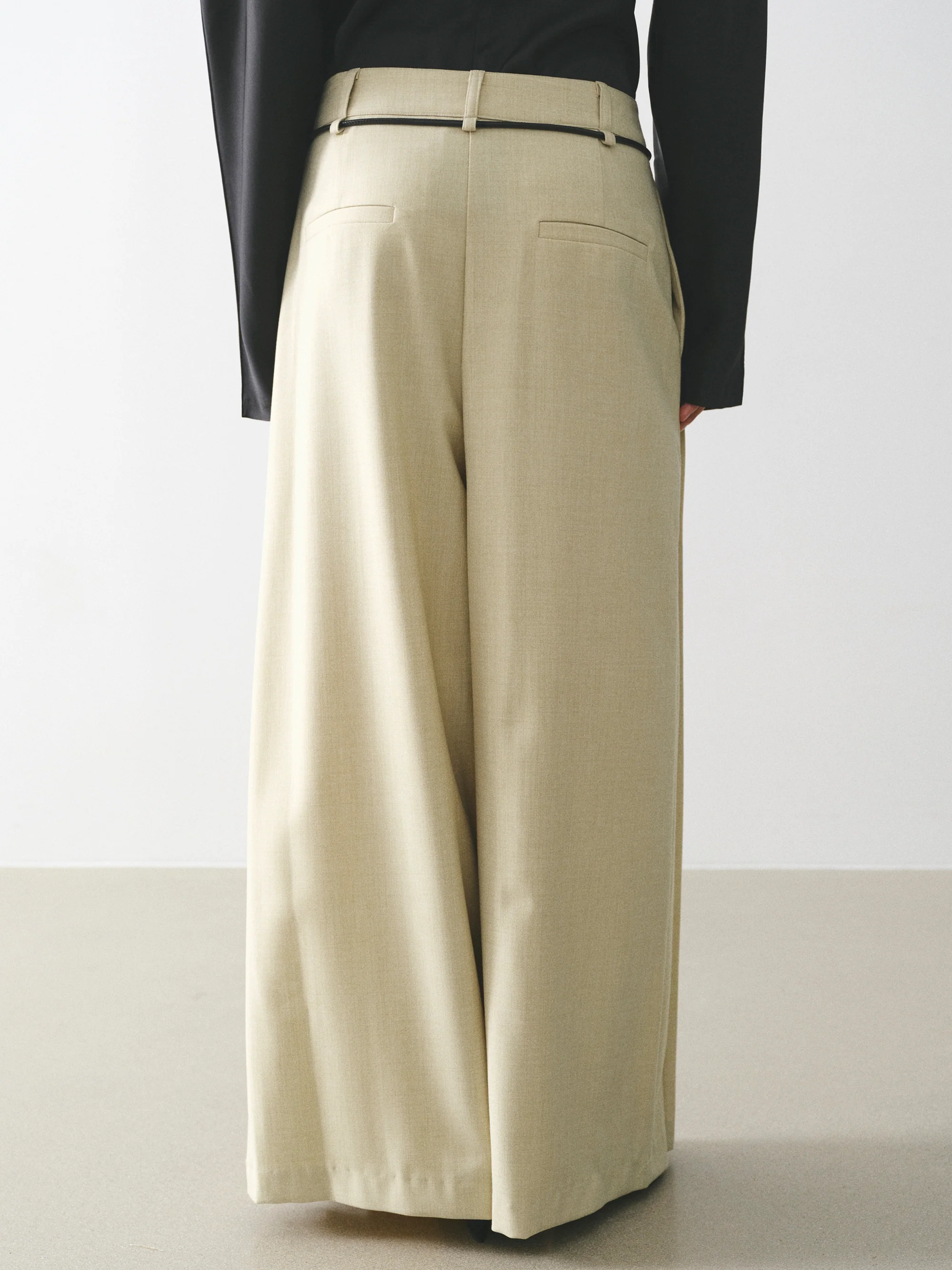 Tie-Belt Pleated Trousers, Beige - Image 5